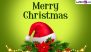 Christmas 2024 Quotes: Celebrate the Holiday Spirit With These Thoughtful Messages, Greetings, HD Images, Wallpapers and Sayings With Friends & Family