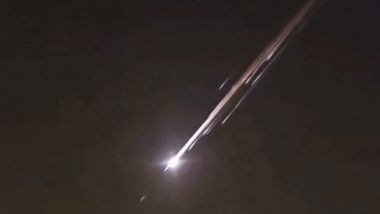 Meteor or UFO? Glowing Objects Seen in Skies Over Many US States, Officials Say Sightings Linked to Starlink Satellite or Rocket (Watch Video)