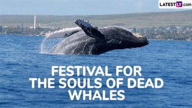 Festival for the Souls of Dead Whales 2024 Date and Significance: All You Need To Know About the Day That Honours the Whales That Died Due to Human Activities