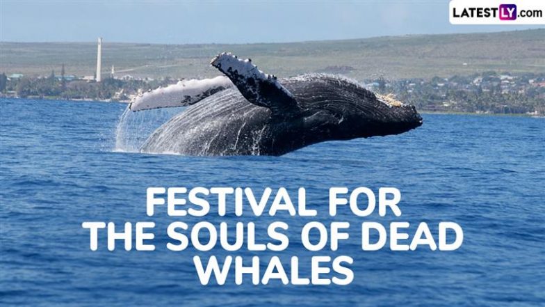 Festival for the Souls of Dead Whales 2024 Date and Significance: All You Need To Know About the Day That Honours the Whales That Died Due to Human Activities