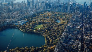 Google Year in Search 2024: Central Park in New York, Odori Park in Hokkaido and Other Top 10 Most Searched Parks on Google Maps