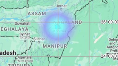 Earthquake in Nagaland: Quake of Magnitude 3.2 on Richter Scale Jolts Chumoukedima