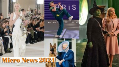 From Robot Baby by Schiaparelli to B-Girl Raygun’s Olympic Performance, a Look Back at the Year 2024 in Micro News