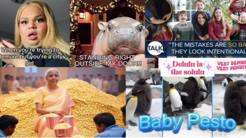 Best Memes of 2024: From ‘Very Demure’ to Moo Deng, Top Viral Moments That Broke the Internet