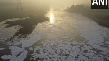 India News | Delhi: Toxic Foam Floats on Yamuna River in Kalindi Kunj