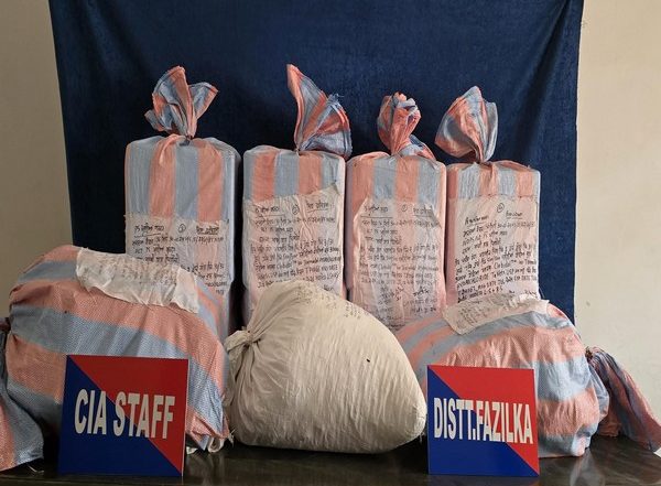 India News | Punjab Police Bust Inter-state Network of Drug Racket