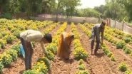 Business News | Amid Global Challenges, Government Ensured Smooth Fertilizer Supply to Farmers at Affordable Prices