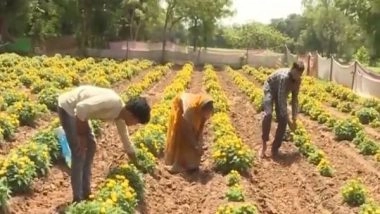 Business News | Amid Global Challenges, Government Ensured Smooth Fertilizer Supply to Farmers at Affordable Prices
