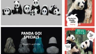 Business News | Hong Kong to Host Its Largest Panda-themed Exhibition with 2,500 Panda Sculptures on Display at Four Iconic Landmarks