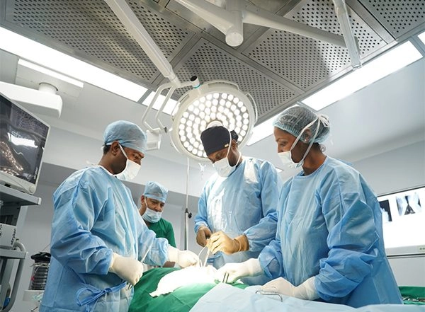 Business News | MASSH Super Speciality Hospitals: Advocating Awareness on Short Stay Surgery for Faster Recovery & Better Surgical Outcomes