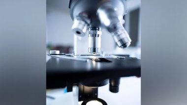 Science News | Study Finds Connection Between Quantum Theory, Information Theory