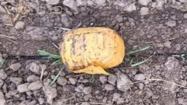 India News | BSF Recovers Drone and Heroin on Amritsar Border