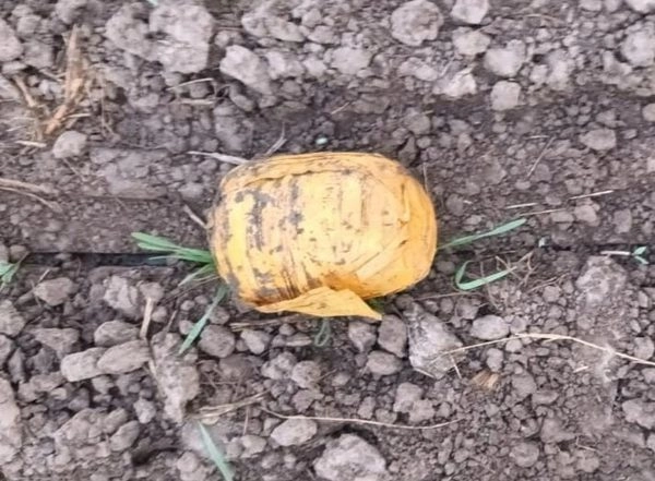 India News | BSF Recovers Drone and Heroin on Amritsar Border