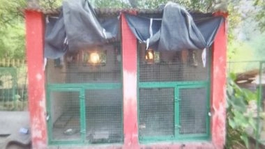 India News | MP: Gwalior Zoo Takes Special Measures to Protect Animals from Cold