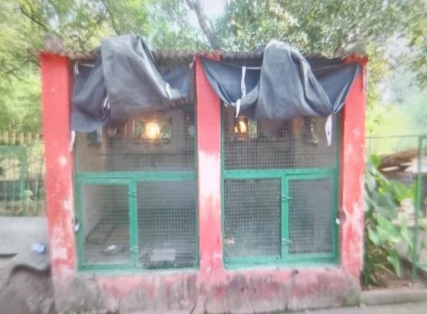 India News | MP: Gwalior Zoo Takes Special Measures to Protect Animals from Cold