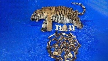 India News | Tiger Skin Seized Near Nilbagan Flyover in Guwahati