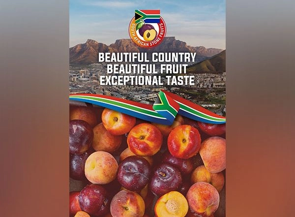 Business News | Season's First South African Stone Fruits Arrive in India - A Feast of Freshness and Flavor