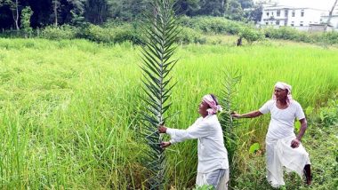 Business News | RBI Raises Collateral-free Agricultural Loan Limit to Rs 2 Lakh to Support Farmers