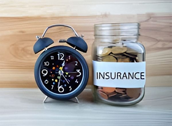 Business News | Term Insurance Vs Savings Plan: Differentiating the Purpose of Both in Financial Planning