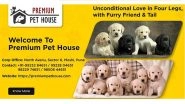 Business News | Popular Dog Breeders Premium Pet House And BestForPets Part Ways