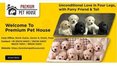 Business News | Popular Dog Breeders Premium Pet House And BestForPets Part Ways