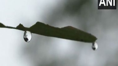 India News | Intense Cold Hits Odisha's Mayurbhanj, Dense Fog Hinders Visibility