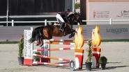 World News | UAE: Riders from 40 Countries to Compete in International Show Jumping Cup in Abu Dhabi