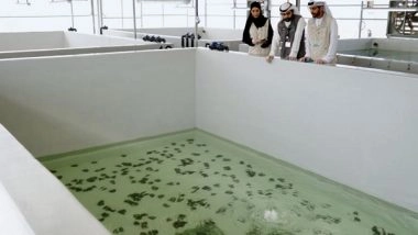 World News | EAD Executes Region's First Freshwater Oyster Pearl Aquaculture Project