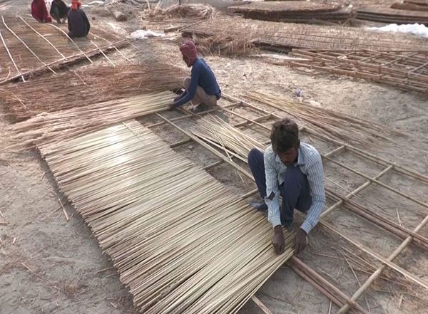 India News | Maha Kumbh Generates Employment in Prayagraj