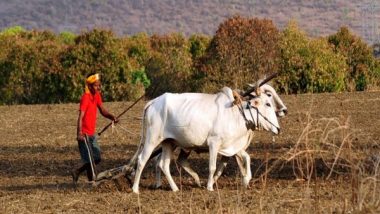 Business News | Finance Commission Grants UP Rs 1599 Cr While Andhra Gets Rs 446 Cr for Rural Development