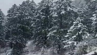 India News | Heavy Snowfall Disrupts Life in Himachal Pradesh, Brings Joy to Tourists