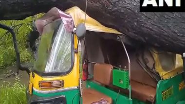 India News | Delhi: Tree Falls over an Auto Due to Rain in Mehrauli, None Injured