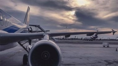 World News | Atleast 28 Dead as Passenger Plane Crashes in South Korea