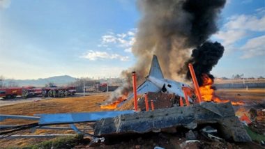 World News | South Korea: Death Toll from Plane Crash Rises to 62; Officials Suspect 'bird Strike'