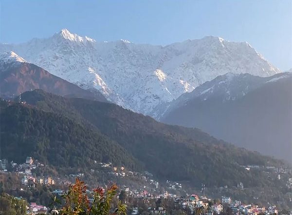 India News | Himachal Pradesh: Cold Wave Grips Dharamshala, Temperature Dips Below 0°C