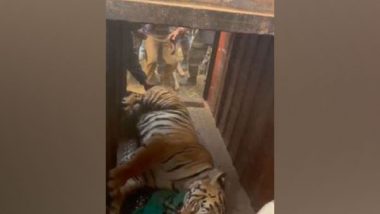 India News | West Bengal CM Mamata Banerjee Congratulates Forest Officials for Rescuing Tigress Zeenat