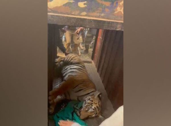 India News | West Bengal CM Mamata Banerjee Congratulates Forest Officials for Rescuing Tigress Zeenat