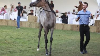 World News | Dubai Arabian Horse Stud Auction Generates AED 5.5 Million in Sales