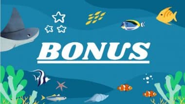 This Is What You Have To Know About Online Casinos Bonuses, According to Casino.org