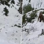 Bandipore Road Accident: Army Vehicle Travelling From Bandipora Towards Gurez Meets With Accident Near Zedkhusi Nallah, Several Soldiers Injured (Watch Video)