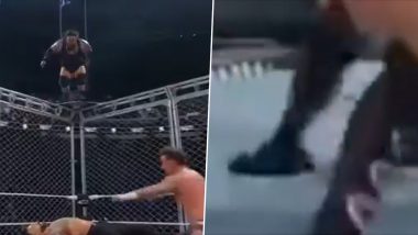 Bronson Reed Suffers Ankle Injury After Jumping From Top of Cage During WWE Survivor Series 2024 Men's WarGames Match, Video Goes Viral