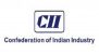 Budget 2025-26: CII Calls for Cut in Excise Duty on Fuel, Consumption Vouchers To Stir Demand