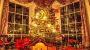 Merry Christmas 2024: Creative Ways To Decorate Your Christmas Tree This Year For The Holiday Season