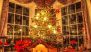 Merry Christmas 2024: Creative Ways To Decorate Your Christmas Tree This Year For The Holiday Season