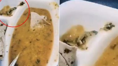 Dead Lizard Found in Food at UP Hospital: Man's Condition Worsens After He Eats Food Containing Lizard Served at Saraswati Hospital in Hapur, Video Goes Viral