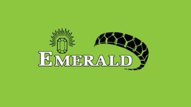 Emerald Tyres IPO Allotment Status, GMP, Listing Date, Subscription and Check Other Key Details Here