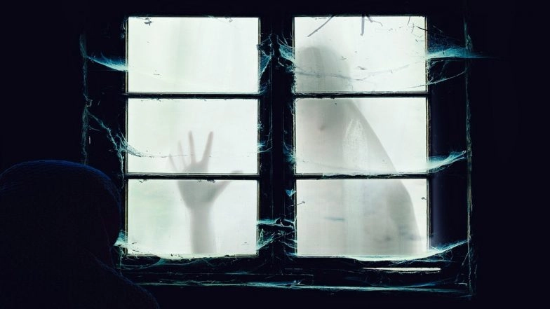 ‘Mere Wife Ko Chudail Ne Pakad Liya Hai’: Chennai Man’s Car Cleaner Takes Month-Long Leave, Claiming His Wife Is ‘Possessed’, Says ‘She’s Started Speaking Fluent Tamil’