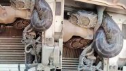 Python Travels 98 Kilometres Hidden in Truck Engine from UP to Bihar, Spotted by Workers During Unloading; Video Surfaces