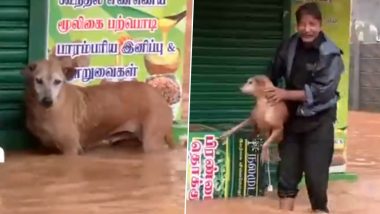 Dog Stuck in Water Rescued As Flood-Like Situation Continues in Parts of Puducherry Following Heavy Rains Amid Cyclone Fengal; Video Surfaces