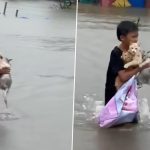 Malaysia Floods: Kid Saves 3 Stranded Cats, Walks With Them on Waterlogged Road; Heart-Warming Rescue Video Goes Viral